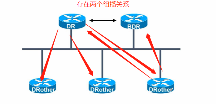 DR与BDR的作用及区别