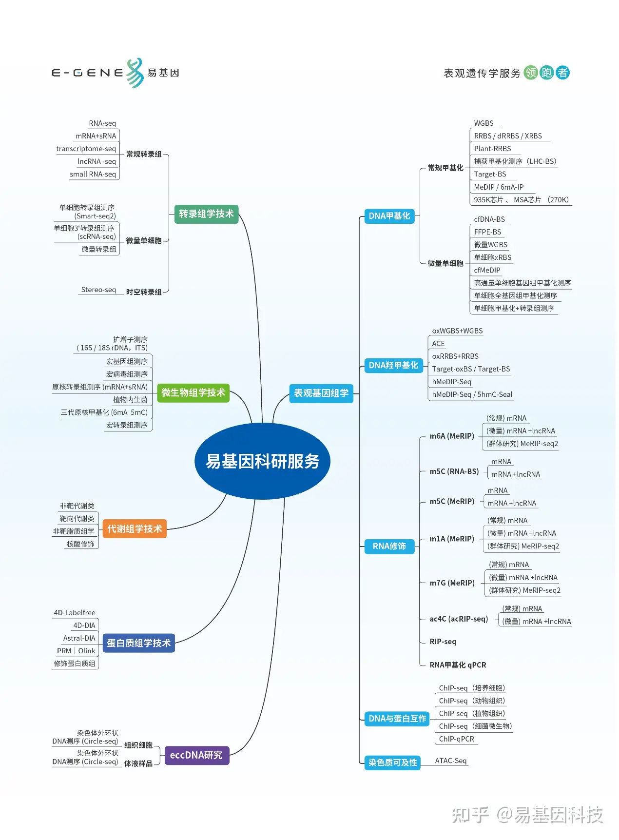 易基因：Nat Commun：ATAC-seq等揭示恒河猴大脑高分辨率解剖区域的转录组和开放染色质图谱