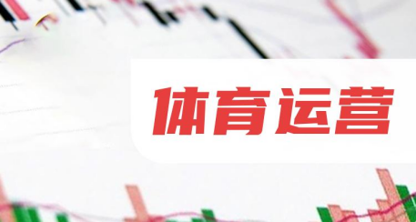 体育直播数据网站如何运营，体育直播数据网站运营策略与指南，体育直播数据网站运营策略与指南，运营方法与成功之路
