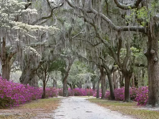 世界上最美的街景