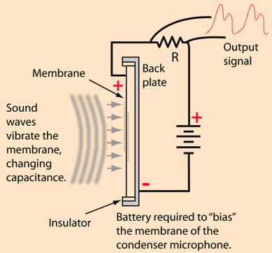 fig4_con_mic