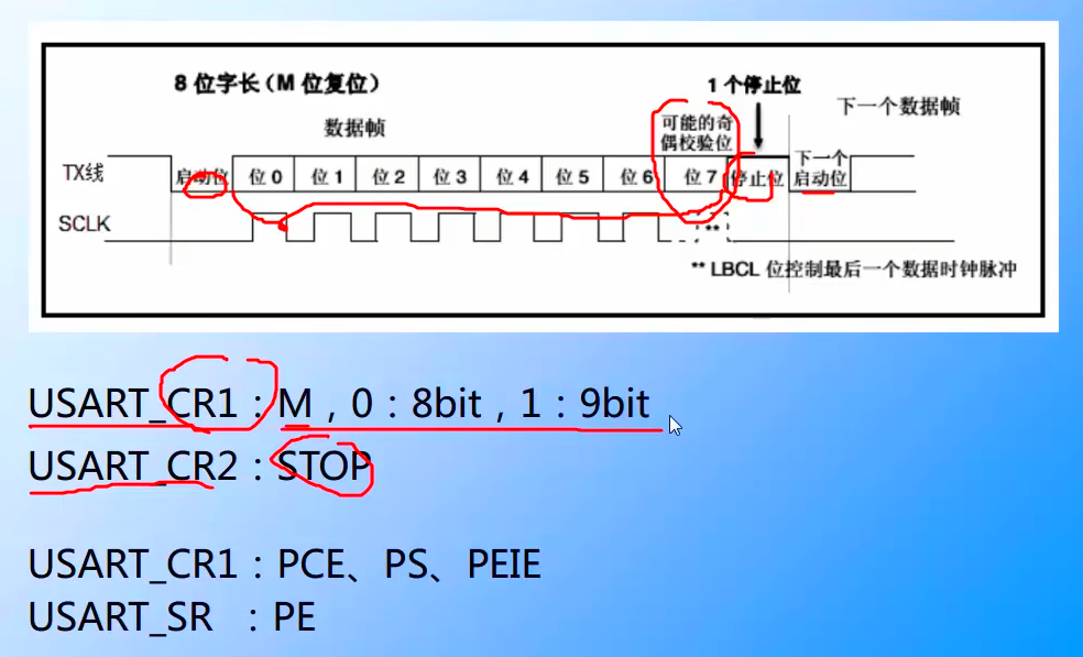 数据格式