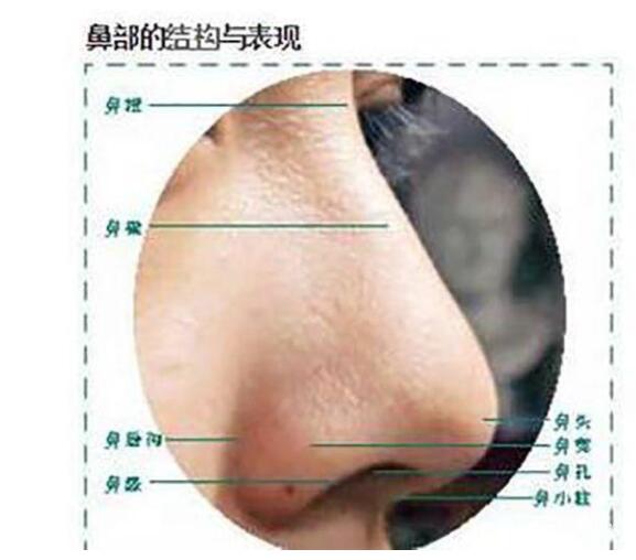 3f52dc3d2bbfcf8ff5ef33a7267540ef.png
