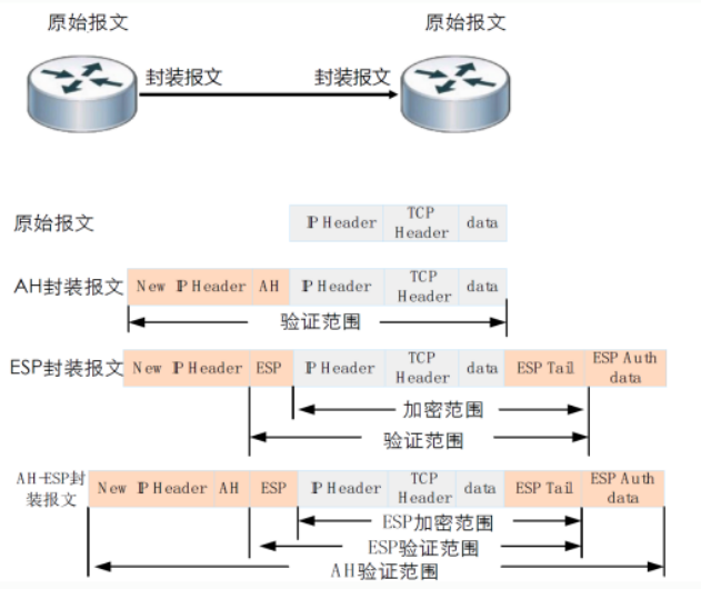 image-20230925164905954