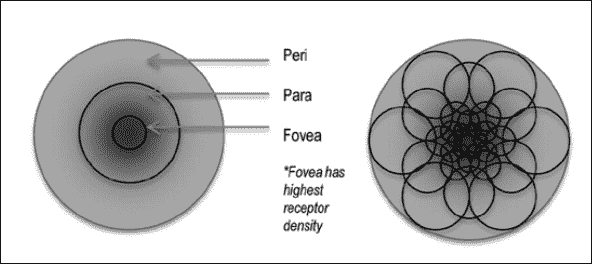 Understanding the FREAK feature descriptor