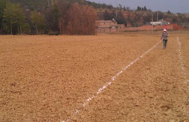 一亩地等于多少平方米