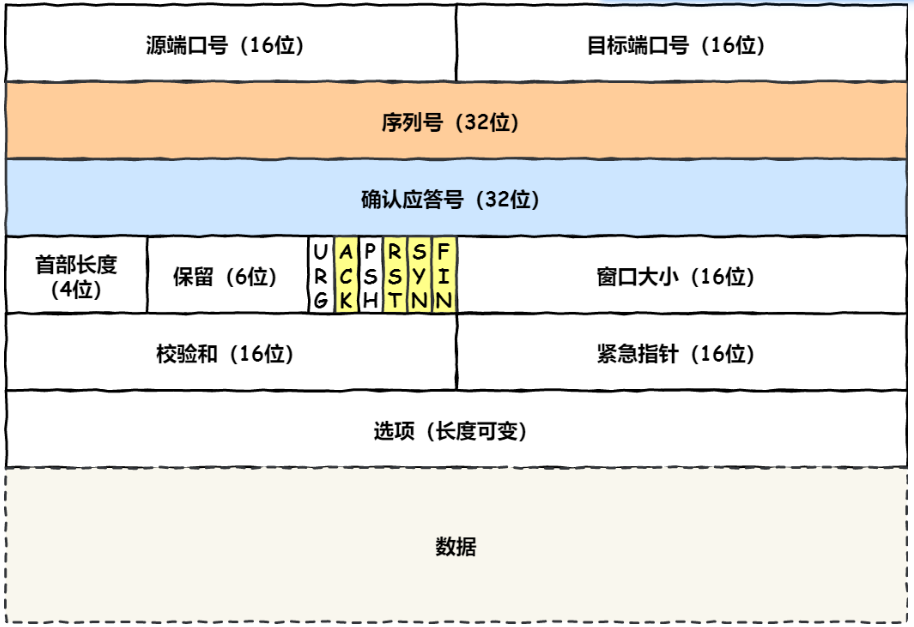 TCP头部协议格式