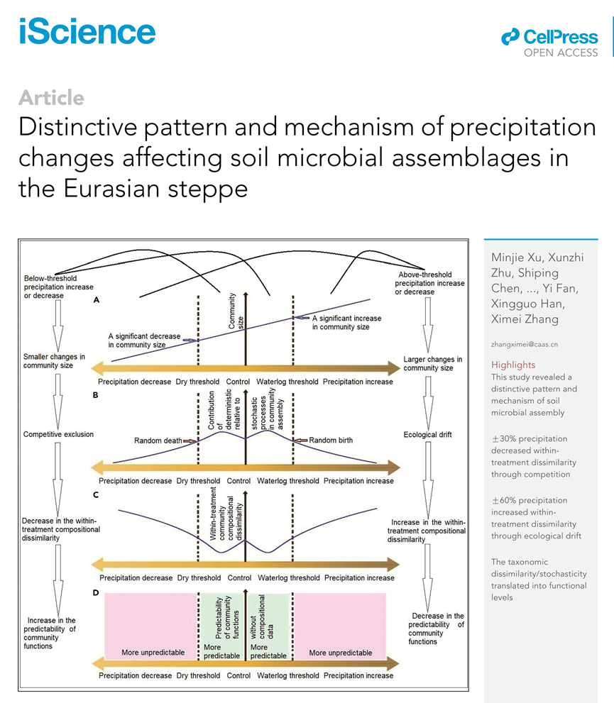 iScience | 农科院张西美等-独特的土壤微生物群落构建模式和机制（附