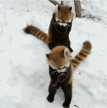 星空画法教程_油画棒教程【第二弹】:3分钟,画只软软萌萌的小熊猫