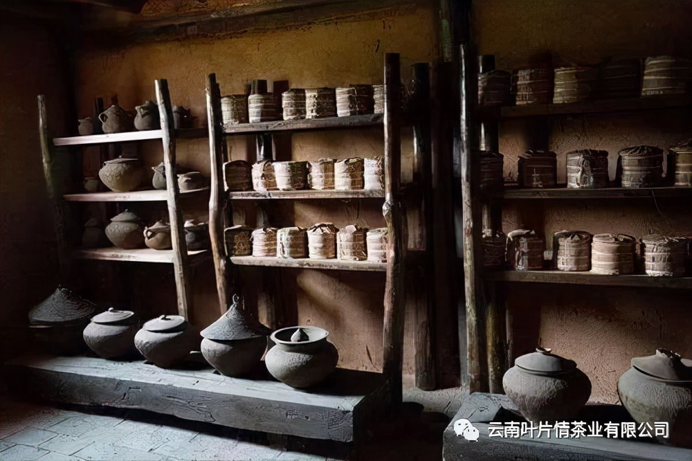 普洱茶知识大全