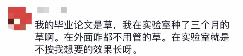 研究生崩溃向导师哭诉：导，你给我的毕业论文被人砍了.._人工智能_19