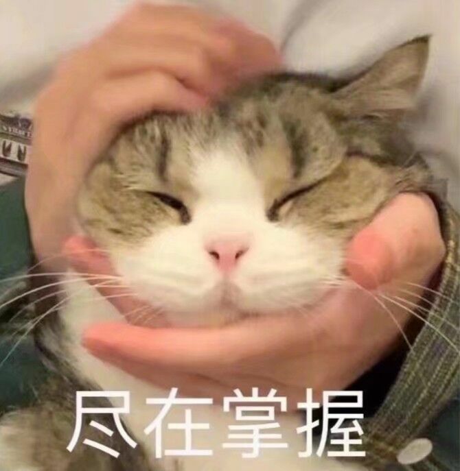 4058b8cf46c30d84fe19c6521fdb20c6.png