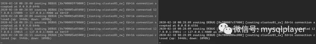 端口如何支持非localhost访问_新特性解读 | MySQL 8.0.19 支持 DNS SRV