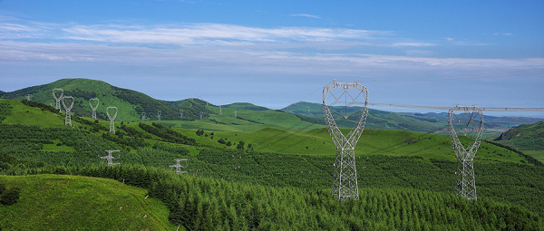 升级"蓝天卫士",华为云助力新格视讯守护绿水青山