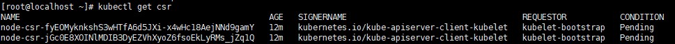kubectl get csr