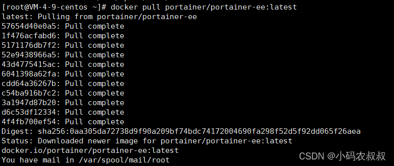 【云原生】Docker可视化工具Portainer使用详解_docker_09