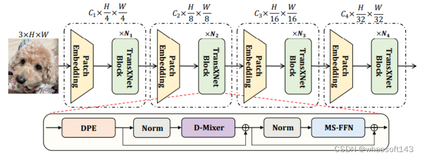 TransXNet_卷积_03