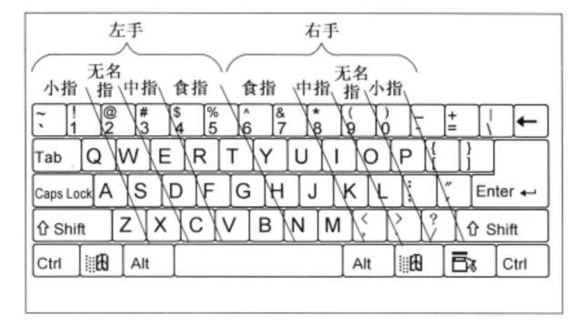 打字指法图正确图片