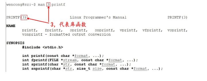 Linux常用命令_文件名_05