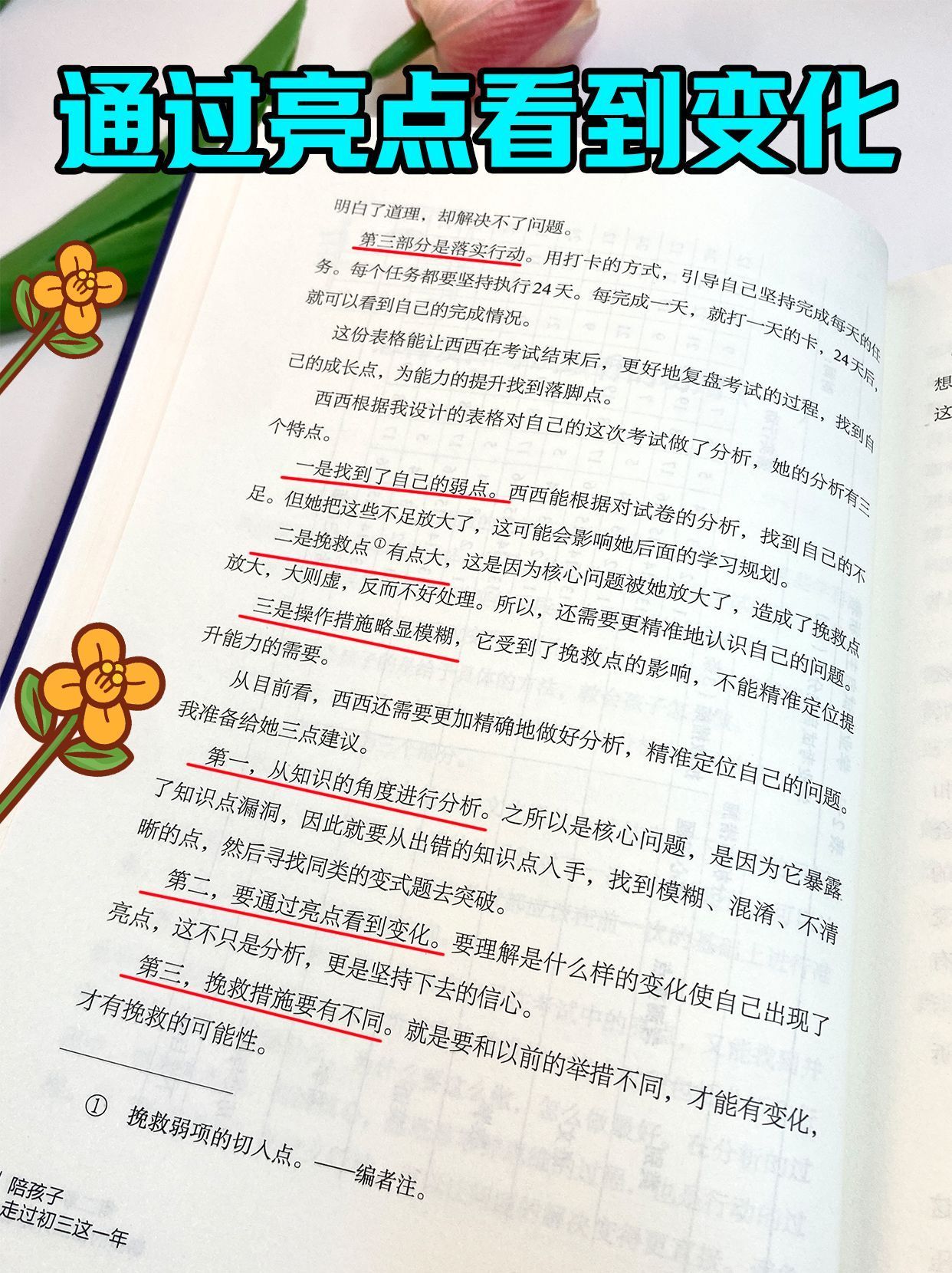 41c8c48bda3749a87c17b1bde6bf3cd0.jpeg
