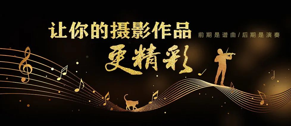 图片批量重命名编号让你的摄影作品更精彩1后期之bridge图片管理