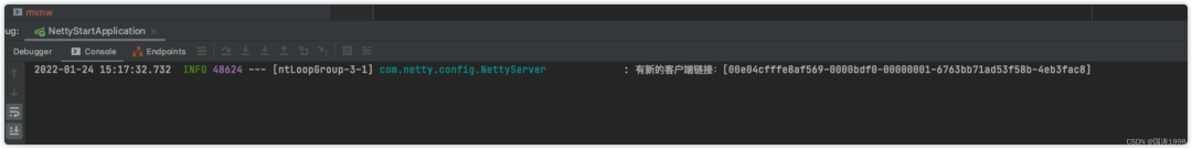 Spring Boot+Netty+Websocket实现后台向前端推送信息-CSDN博客