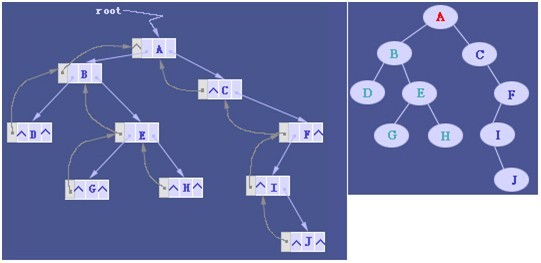 java用三叉链表构建二叉树_三叉链表实现二叉树的基本操作