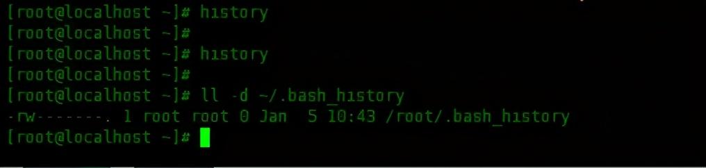 Debian bash команда не найдена