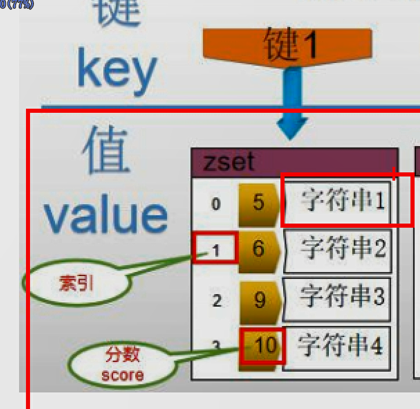 image-20201031194921896