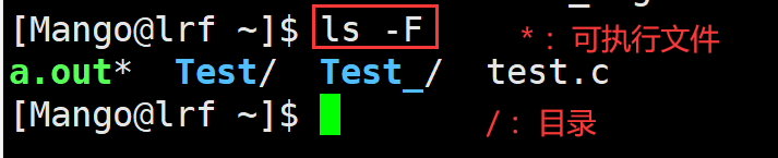 image-20220224204124667