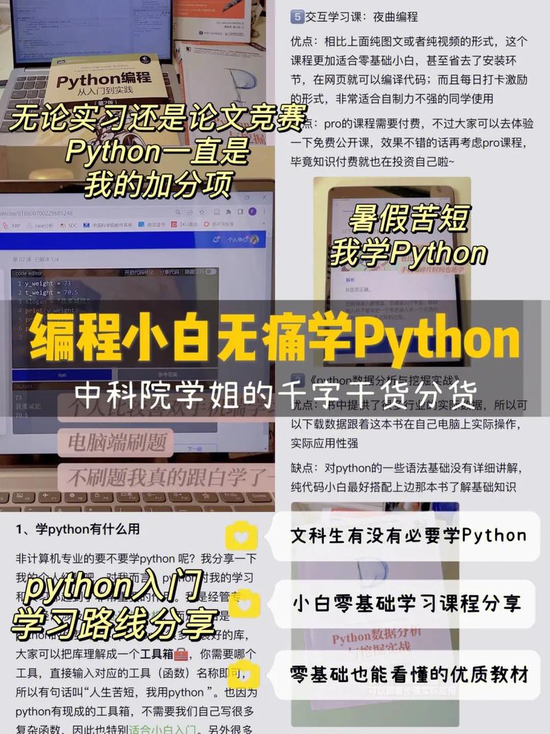 学python编程能做什么工作,python编程好找工作吗-CSDN博客