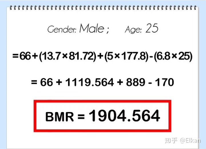 中用BBP公式计算_如何计算基础代谢率