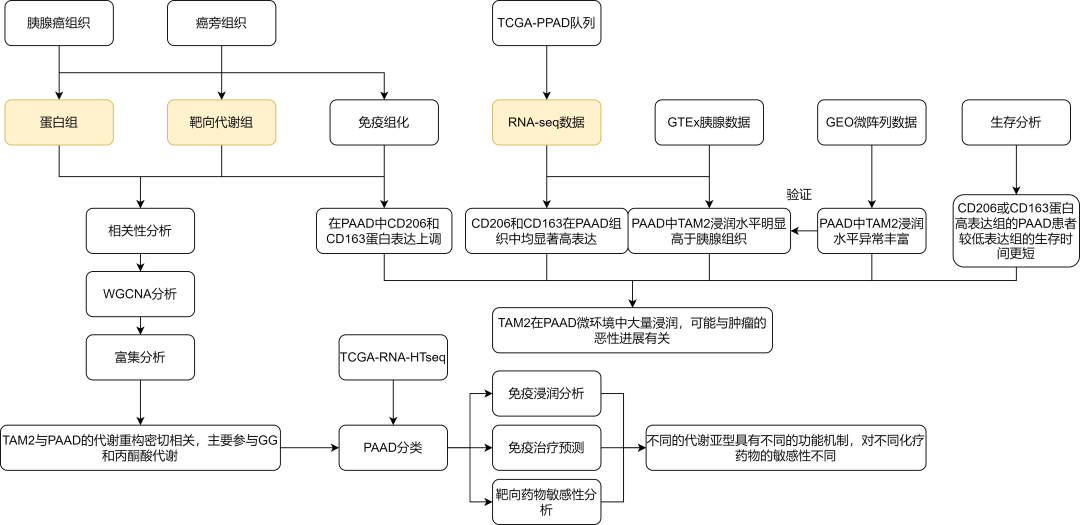 成功案例（IF=7.3）| 转录组+蛋白质组+代谢组联合分析分析揭示胰腺癌中TAM2相关的糖酵解和丙酮酸代谢重构