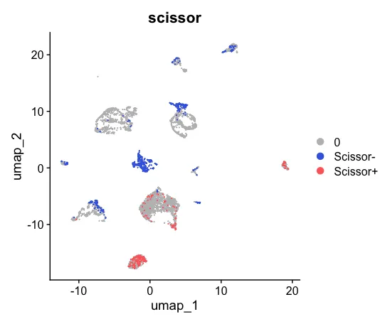 Scissor算法-从含有表型的bulkRNA数据中提取信息进而鉴别单细胞亚群