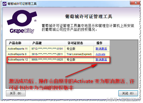 ActiveReportsV12新特性-可定制的安装设置