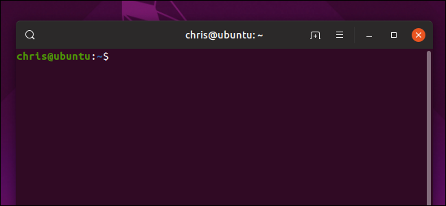 Terminal app on a Ubuntu 19.04 desktop