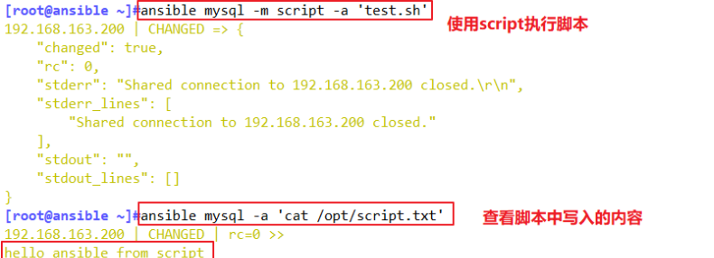 ansible的常用模块介绍