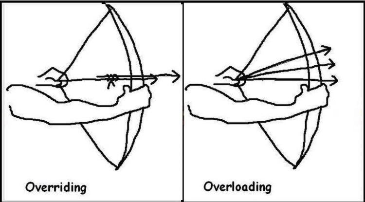 一篇文章带你彻底搞懂方法重写(override)和重载(overload)—菜鸟教程学习记录