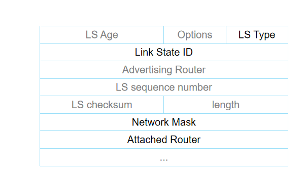 Network LSA