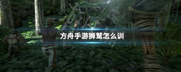 458b387a14f6b4ccaadac70bcf3b6dcc.png