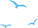 458ff90faf2149c7a4125f52f8d97215.png
