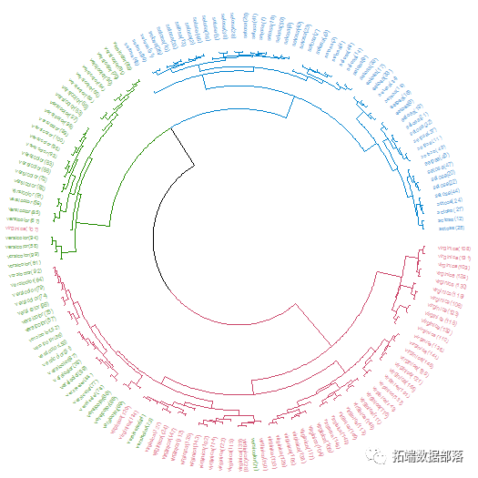 R语言k-means聚类、层次聚类、主成分（PCA）降维及可视化分析鸢尾花iris数据_数据_09