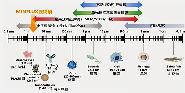 实现这个 “真正突破” 竟用了百年 —— 看见病毒，显微镜百年历程