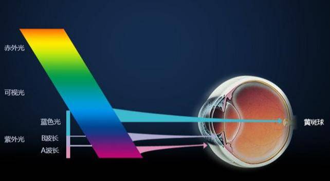 学生用什么光的灯最好最安全热销榜top5产品揭秘