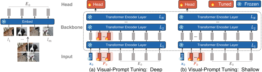 Fig. 2. Overview of our proposed Visual-Prompt Tuning. We explore two variants: (a) prepend a set of learnable parameters to each Transformer encoder layer’s input (VPT-deep); (b) only insert the prompt parameters to the first layer’s input (VPTshallow). During training on downstream tasks, only the parameters of prompts and linear head are updated while the whole Transformer encoder is frozen.