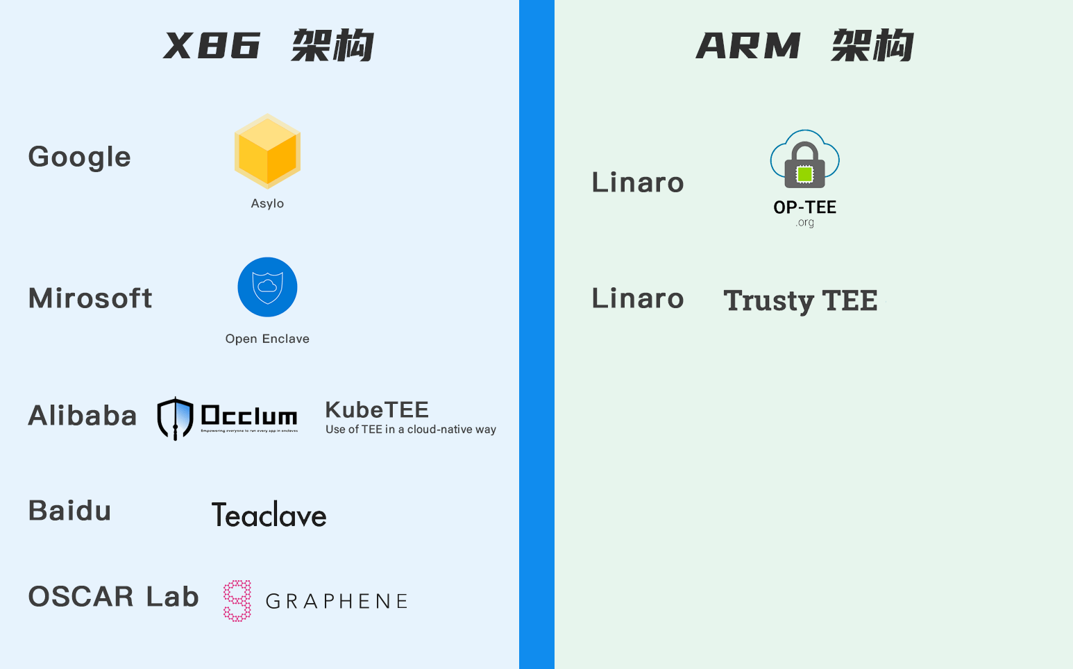 TXT 和 SEV技术小知识