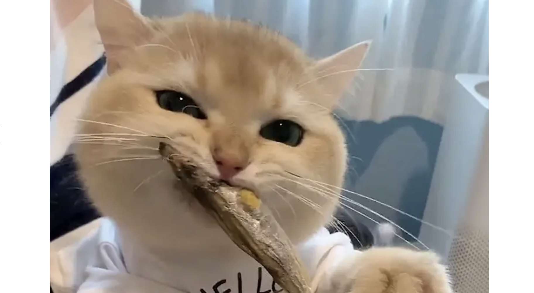 创业了...