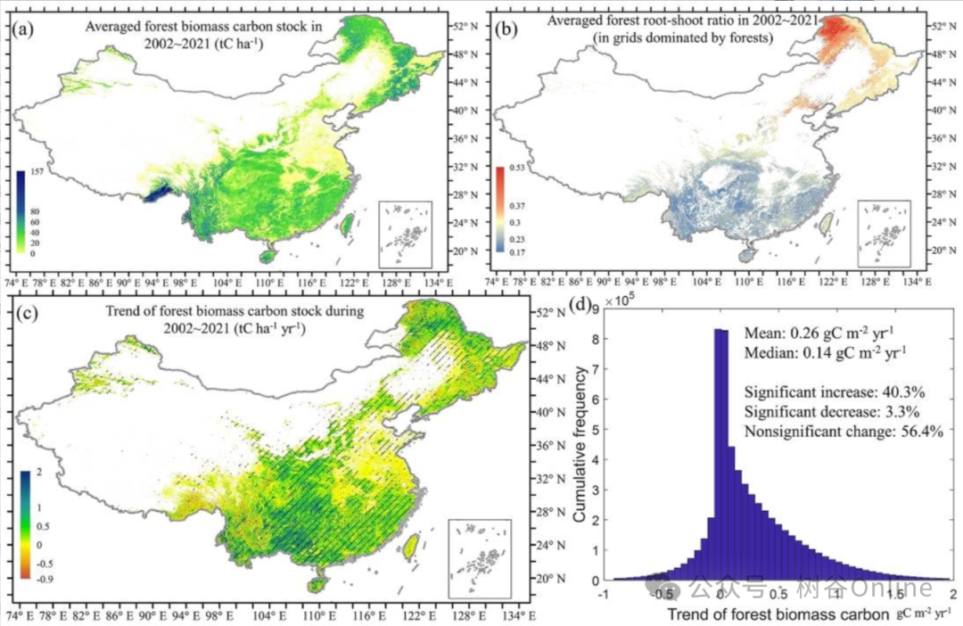 中国森林地上和地下生物量碳变化数据集（2002-2021年）