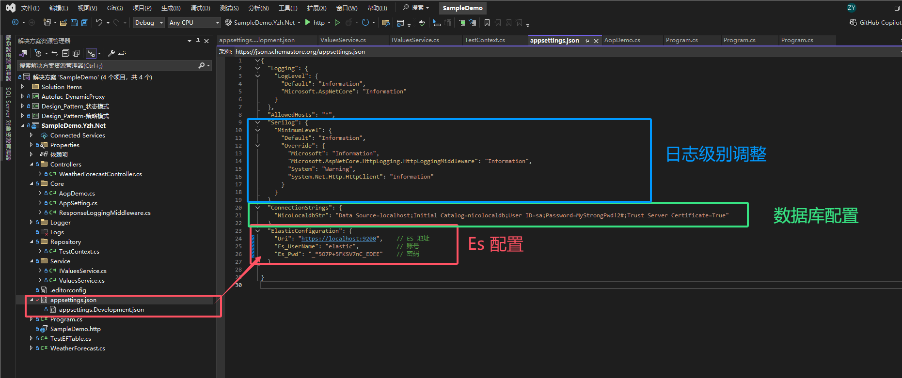 AppSetting.json